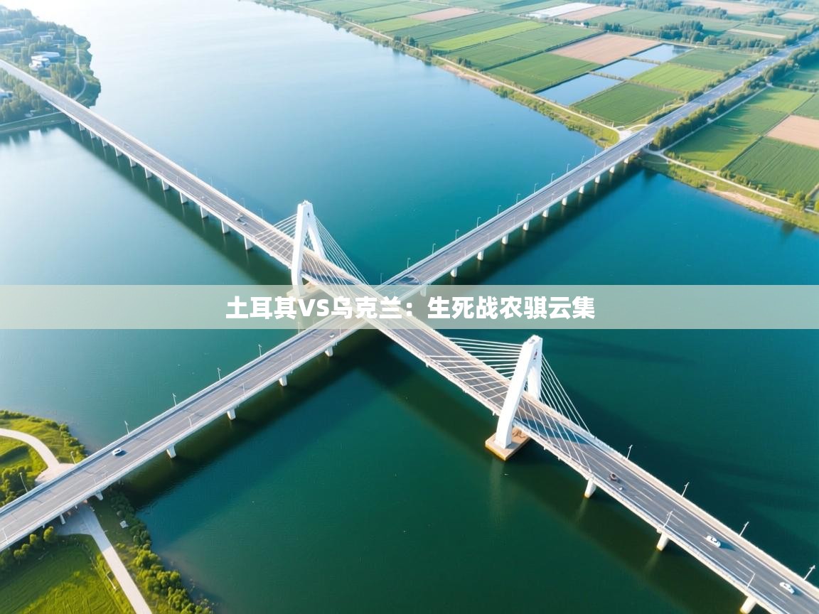 土耳其VS乌克兰:生死战农骐云集 第2张